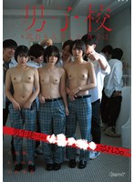 サンプル