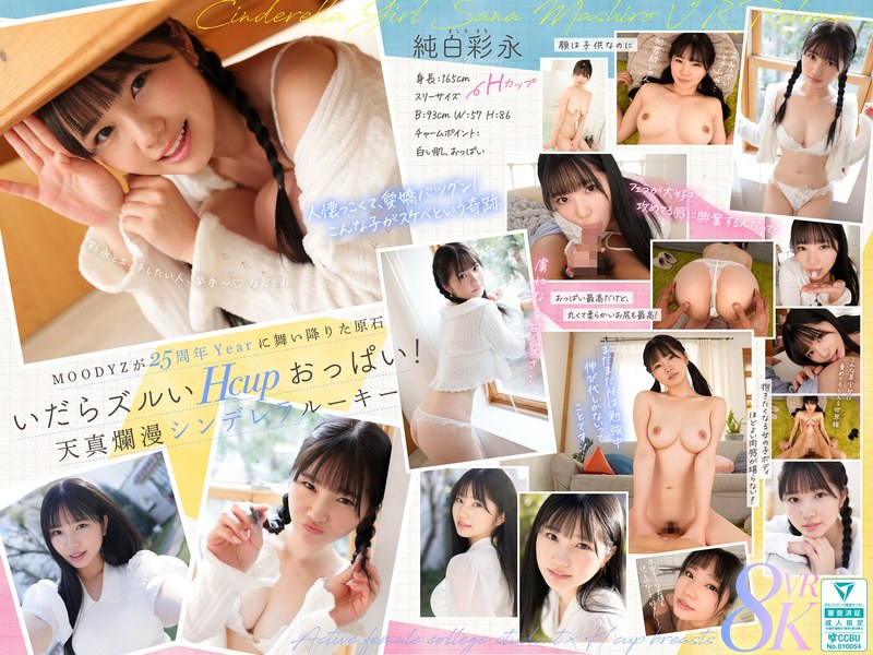 | mdvr00365pl 不明