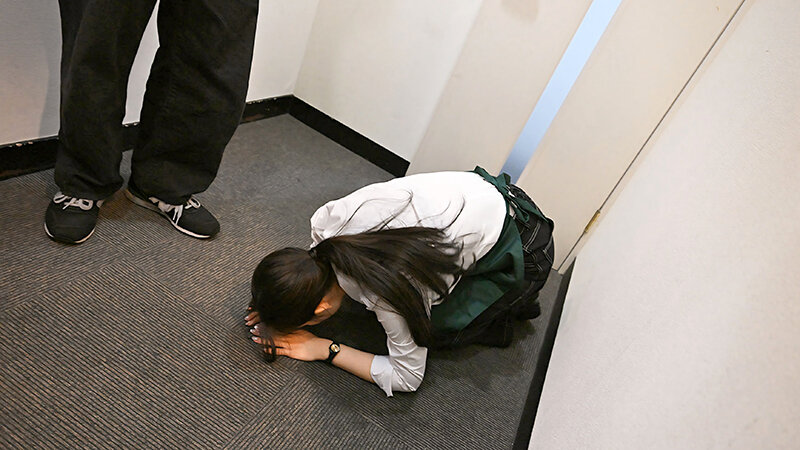 サンプル画像 8