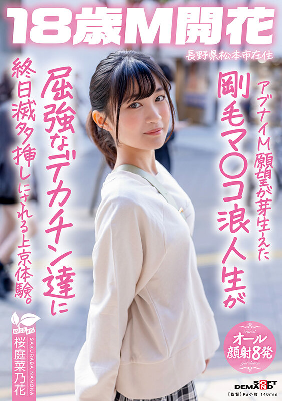 サンプル画像 1