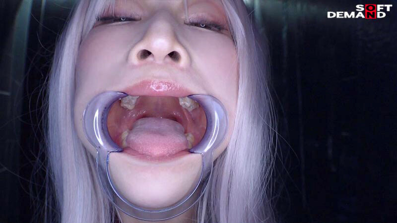 サンプル画像 13