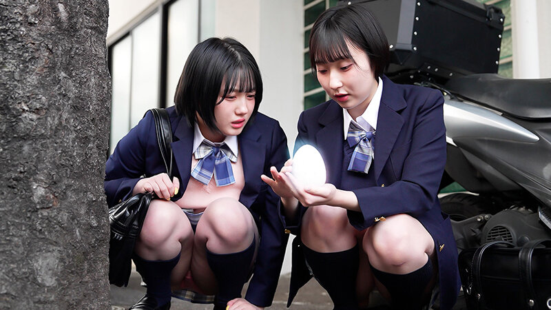 サンプル画像 5