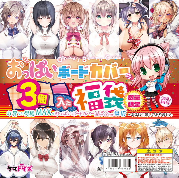 おっぱいボードカバーが3個入った福袋