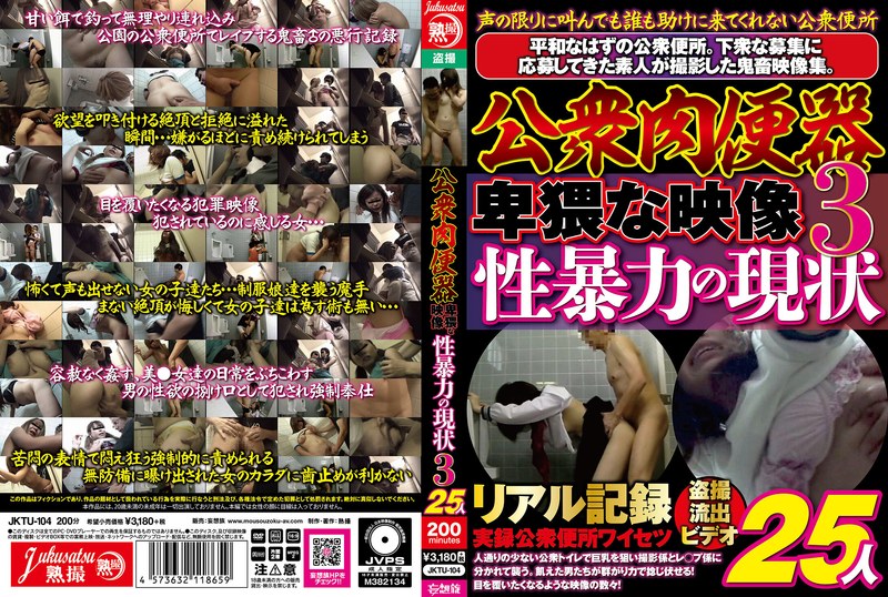公衆肉便器 卑猥な映像 性暴力の現状3 25人