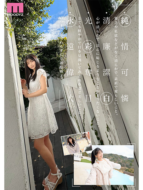 サンプル画像 4