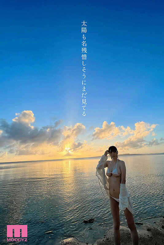 サンプル画像 4