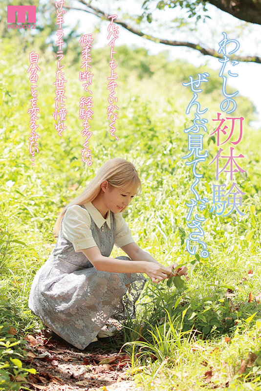 サンプル画像 1