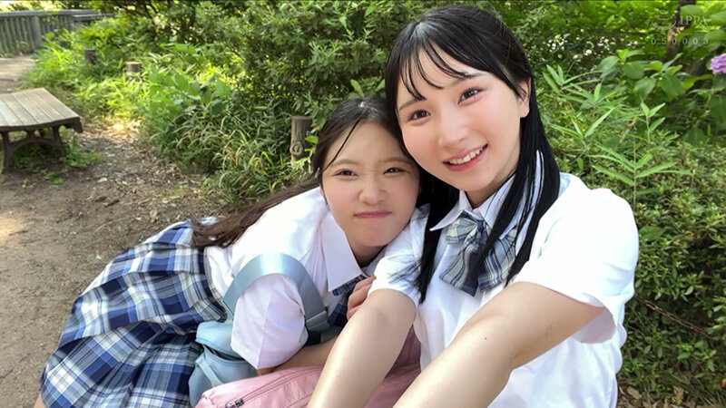 サンプル画像 1