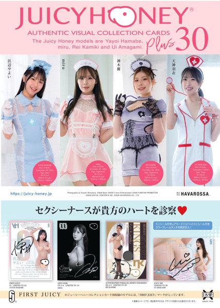 AVCジューシーハニーコレクションカード PLUS＃30 浜辺やよい miru 神木麗 天神羽衣