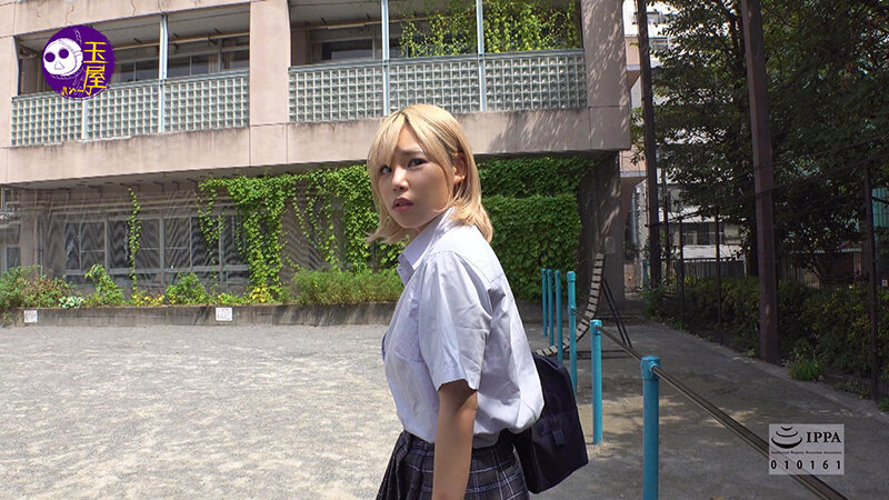 サンプル画像 5